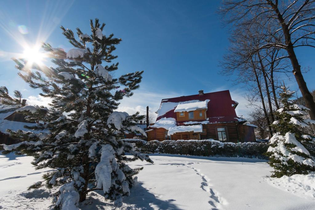 Apartament Parzenica Zakopane Extérieur photo